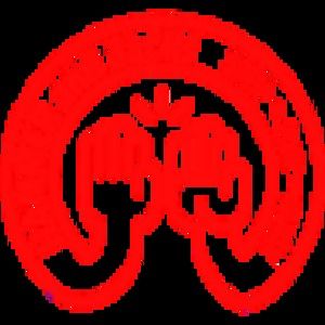 Meet your Posher, Jillian